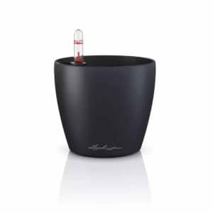 Lechuza Classico color 12 slate grey