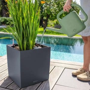 lechuza vandkande Moja vandkande